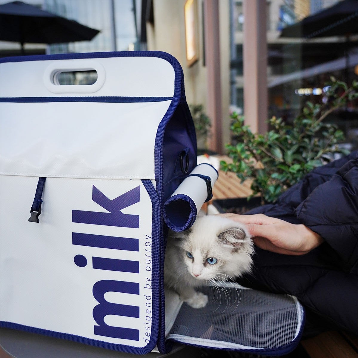 Pet Cat Bag Is Portable And Breathable In Summer