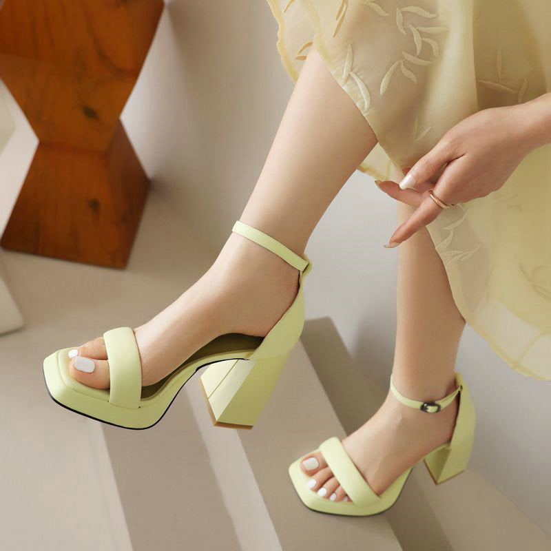 Women's Chunky Heel High Heel Platform Ankle-strap Buckle Sandals