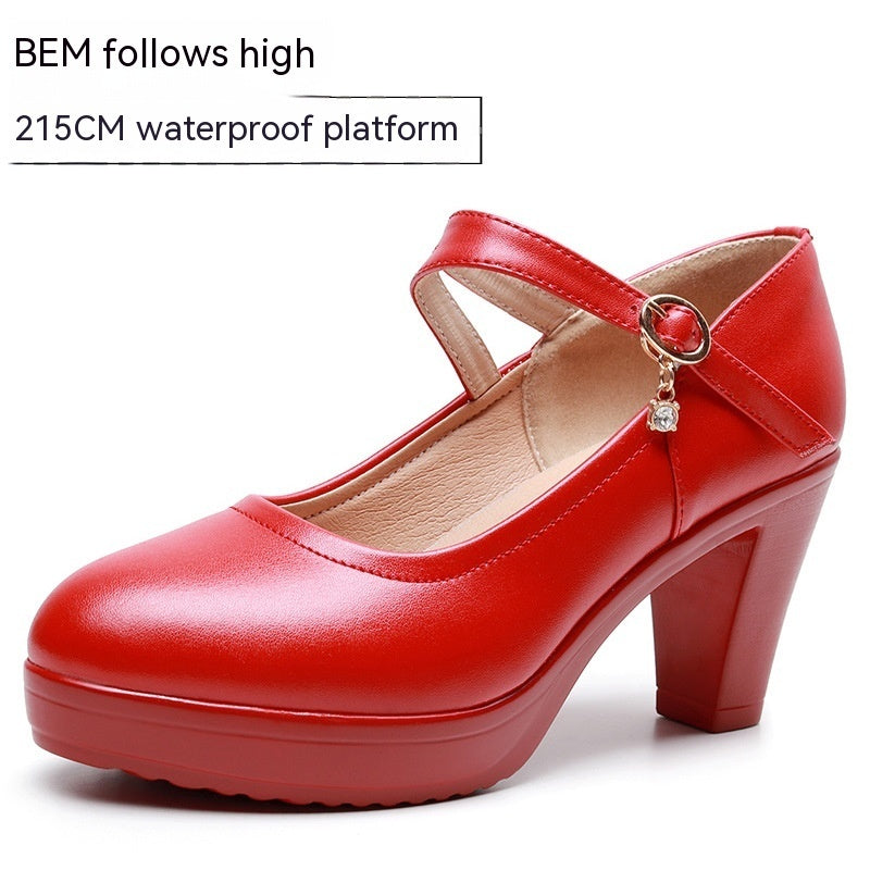 Round Toe Shallow Mouth High Heel Thick Bottom Waterproof Platform Shoes